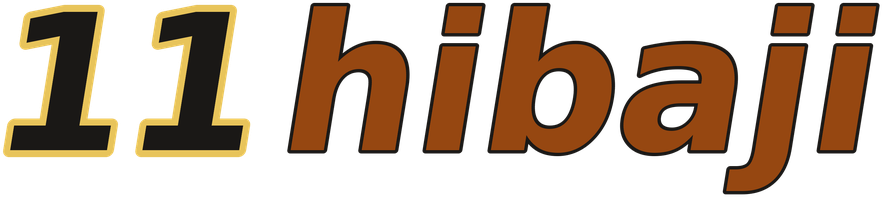 11hibaji logo